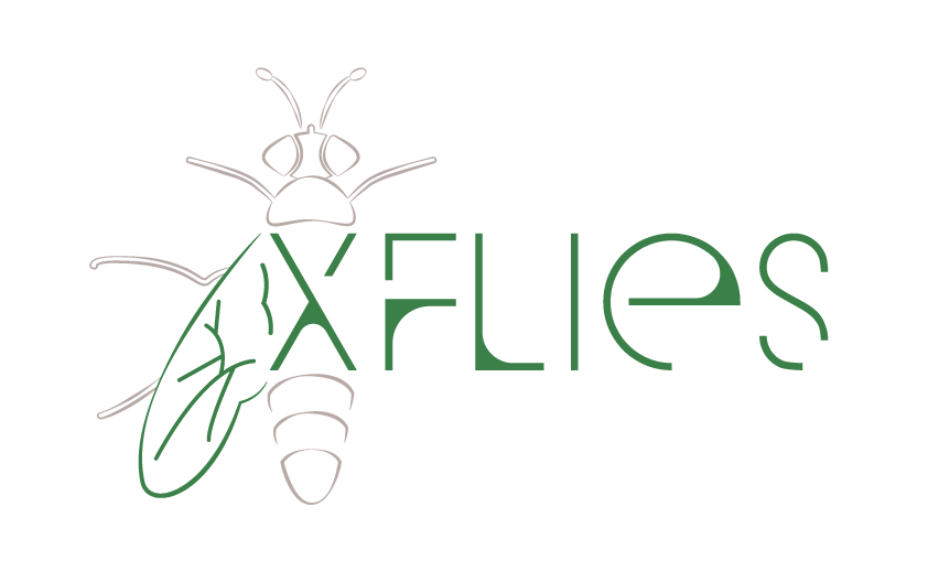 Logo XFLIES